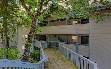 5-10 treehouse 1