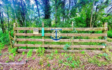 TBD NE Sage Rd, Mayo, FL 32066 - photo 6