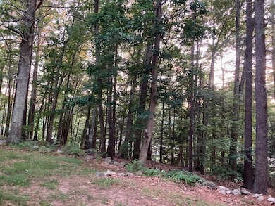 69,71,73 Seminole Rd, Acton, MA 01720 - photo 5