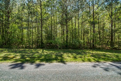 02_MoonSloughPoint_LakefrontParcel_Road_