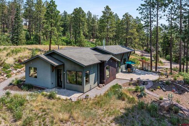 1523 Silver Mesa Driveway, Durango, CO 81301 - photo 3