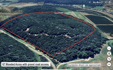 67 Acres Del Rio TN
