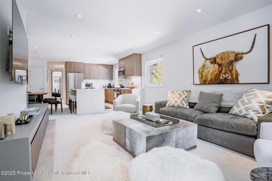 210 E Cooper Ave unit 3G, Aspen, CO 81611 - photo 4