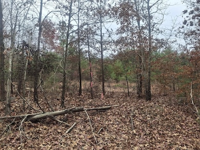 0 0 Indian Pipe Run, Palmyra, VA 22963 - photo 3