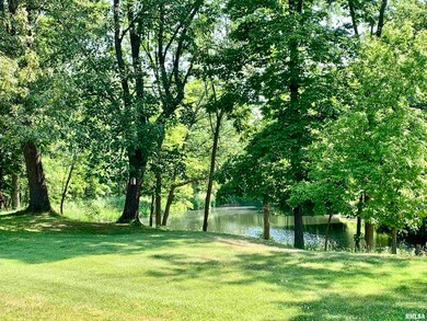 1649 Wolf Rd, Chapin, IL 62628 - photo 7