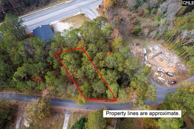 0000 Herbert St, Columbia, SC 29205 - photo 5