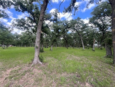 Lot 570 Deer Ledge Dr, Beaver Creek, TX 77836 - photo 3