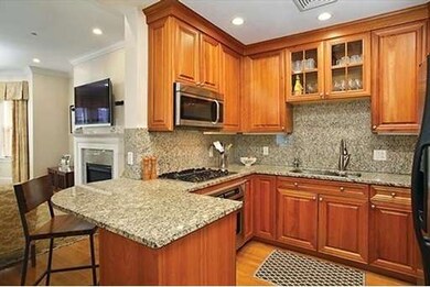 366 Tappan St unit 2, Brookline, MA 02445 - photo 3