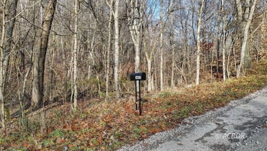 34673 Broderick Hollow Rd, Salisbury Township, OH 45769 - photo 2