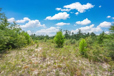 90 Acres Union Hill Rd, Vernon, FL 32462 - photo 7