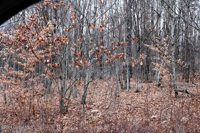 IMG_2532