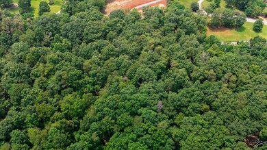 05-dji_fly_20250627_135718_0079_17510484