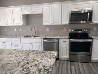 new cabinets, granite, and stainless