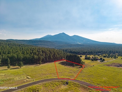 9199 Ranch at the Peaks Way, Flagstaff, AZ 86001 - photo 3