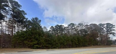 0 Hilo Rd unit 7684427, Fayetteville, GA 30215 - photo 6