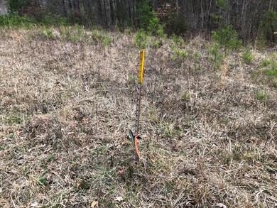 Lots 4-5 Oral Oaks Rd, South Hill, VA 23970 - photo 4