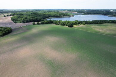 Looking NW from Nelson Rd Drone1_31.jpg