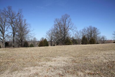 IMG_9855