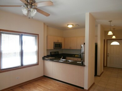 4955 N Damen Ave unit 1, Chicago, IL 60625 - photo 3
