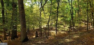 0 Route unit WVMO2001156, Berkeley Springs, WV 25411 - photo 6