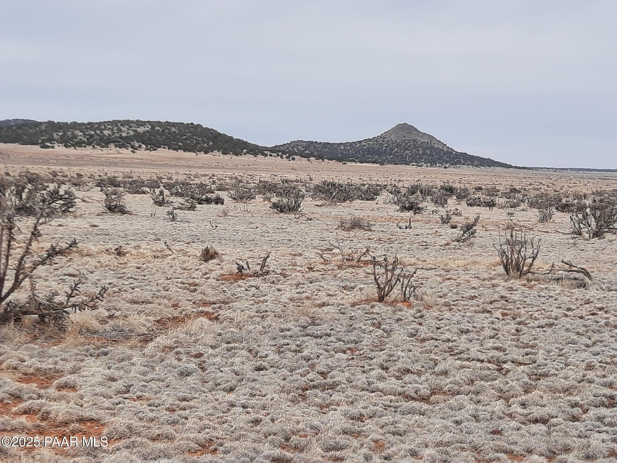 Lot 1104 Rd, Seligman, AZ 86337 - photo 4