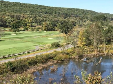 1602 Sweet Root Rd, Bedford, PA 15522 - photo 2