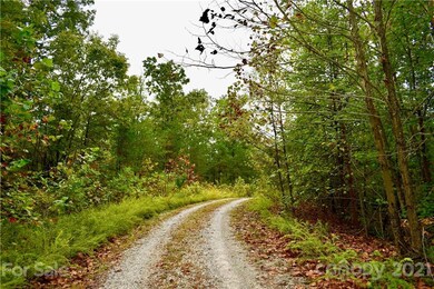Lot 10 Dobsons Knob Loop Rd unit 10, North Cove, NC 28752 - photo 4