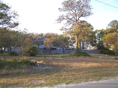 501 W Bay Shore Dr, Saint George Isl, FL 32328 - photo 2