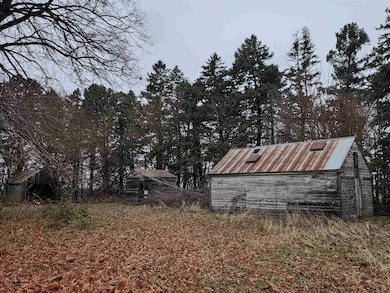 4313 510th St, Havelock, IA 50546 - photo 6