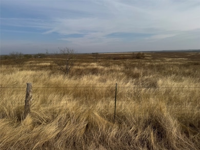 N/A County Road 3220, Penelope, TX 76676 - photo 4