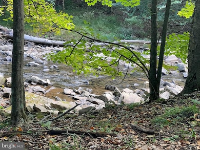 0 Abrams Creek - Oakmont Wv unit WVMI2000826, Elk Garden, WV 26717 - photo 2