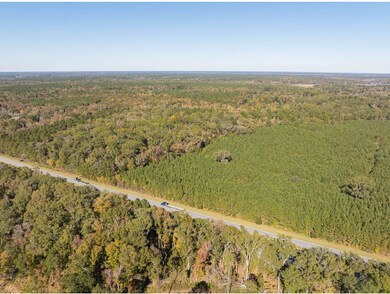 239 Trask Pkwy, Yemassee, SC 29945 - photo 4