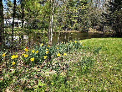Farm Pond
