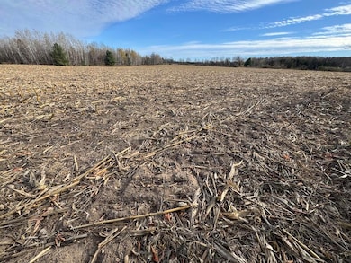 409 S Morrison Rd, West Branch, MI 48661 - photo 4