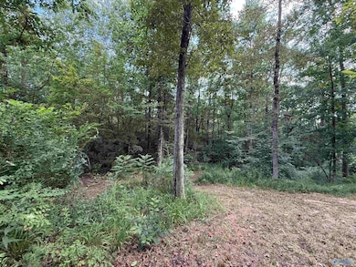 0.66 AC County Road 1606, Cullman, AL 35058 - photo 2