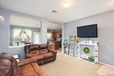 10802 Mustang Oak Dr, San Antonio, TX 78254 - photo 5