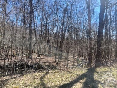 0 Amy's Ln unit 152415, Austerlitz, NY 12017 - photo 6