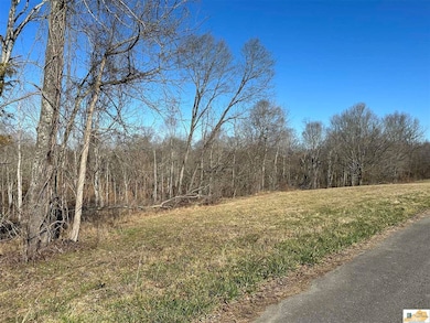 501 Brockman Rd, Columbia, KY 42728 - photo 4