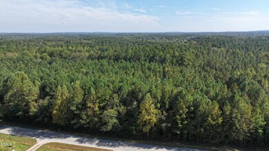 0 Pete Thomas Rd, Hadley, NC 27312 - photo 5