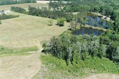 3339 W Highway 501 unit TBD SC HWY 548 at US, Conway, SC 29527 - photo 7