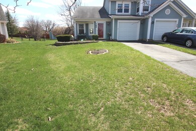 Yard/Garden