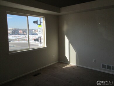 13803 Jackson St, Thornton, CO 80602 - photo 6
