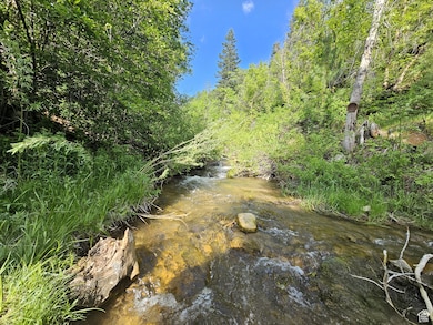 26 Birch Creek Dr unit D26, Fairview, UT 84629 - photo 2