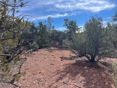 1022 Duffis Bluff Rd, Seligman, AZ 86337 - photo 4