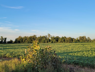 5601 E 61st Ave, Hobart, IN 46342 - photo 4