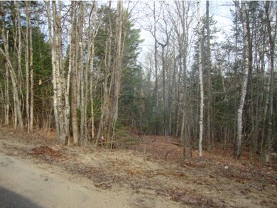 5-1-1 Hodgeman Hill Rd, Campton, NH 03223 - photo 5