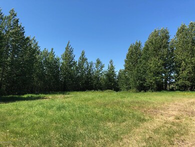 2808 E 154th Ave, Anchorage, AK 99516 - photo 3