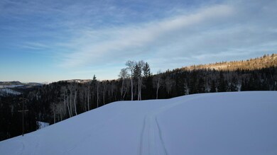 DJI_0002