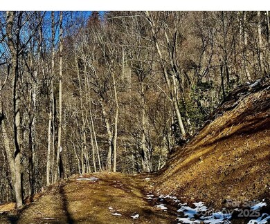 3837 Plott Balsam Rd unit 58, Maggie Valley, NC 28779 - photo 2