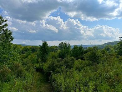 VL White Creek Rd, Friendship, NY - photo 4